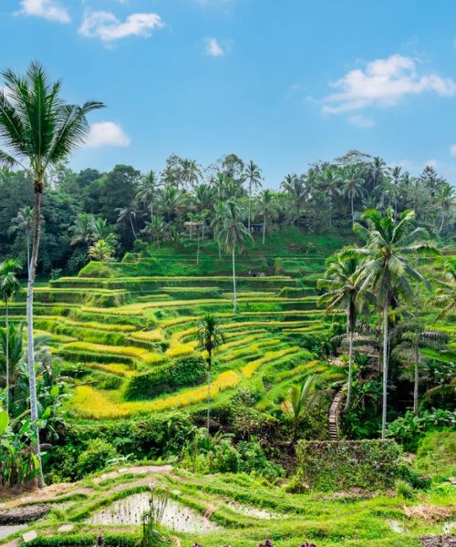 Malesia