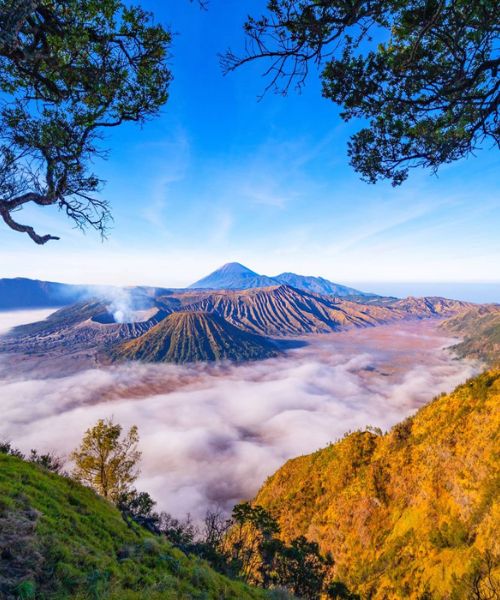 Malesia