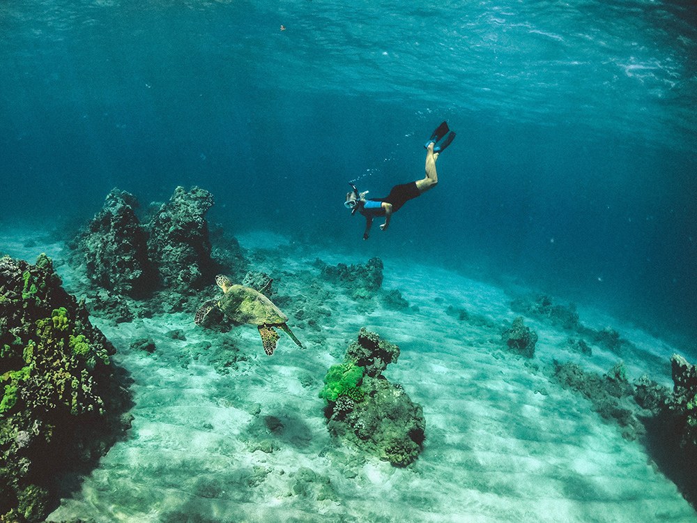 free_diving_filippine