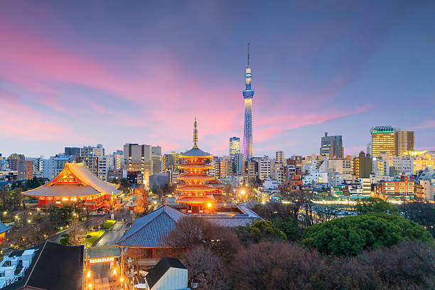 View of Tokyo skyline  at sunset in Japan.