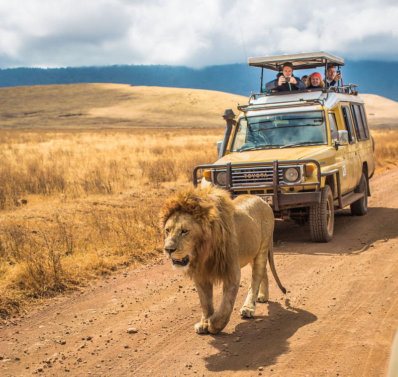 tanzania-self-drive-safaris