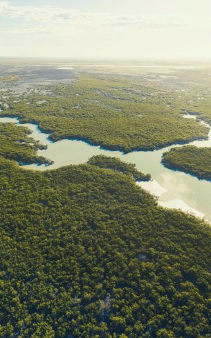 Everglades, patrimonio UNESCO