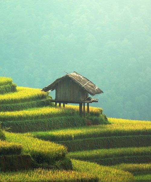 Malesia