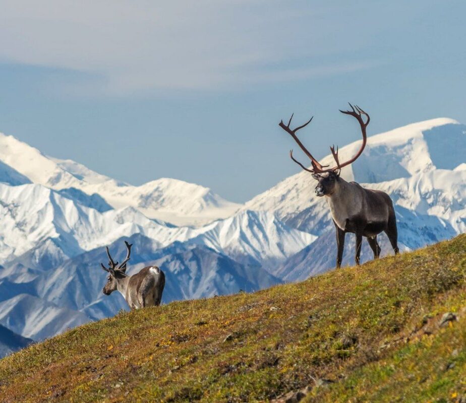 voyage-alaska33-1280x800