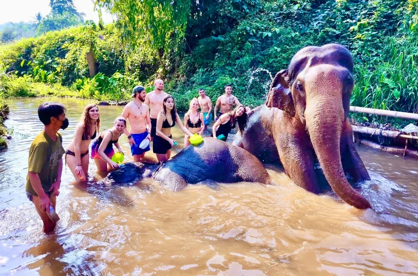 Esperienza di bagno con elefanti in Thailandia, un’attività unica per chi visita il Paese
