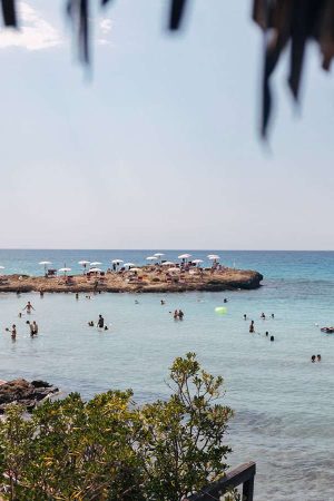 college-estate-2023-salento-vdm-galleria-6-qi7k05op7eoeq4lxhxwp9qi63cpj0i450tkr8ikgwk