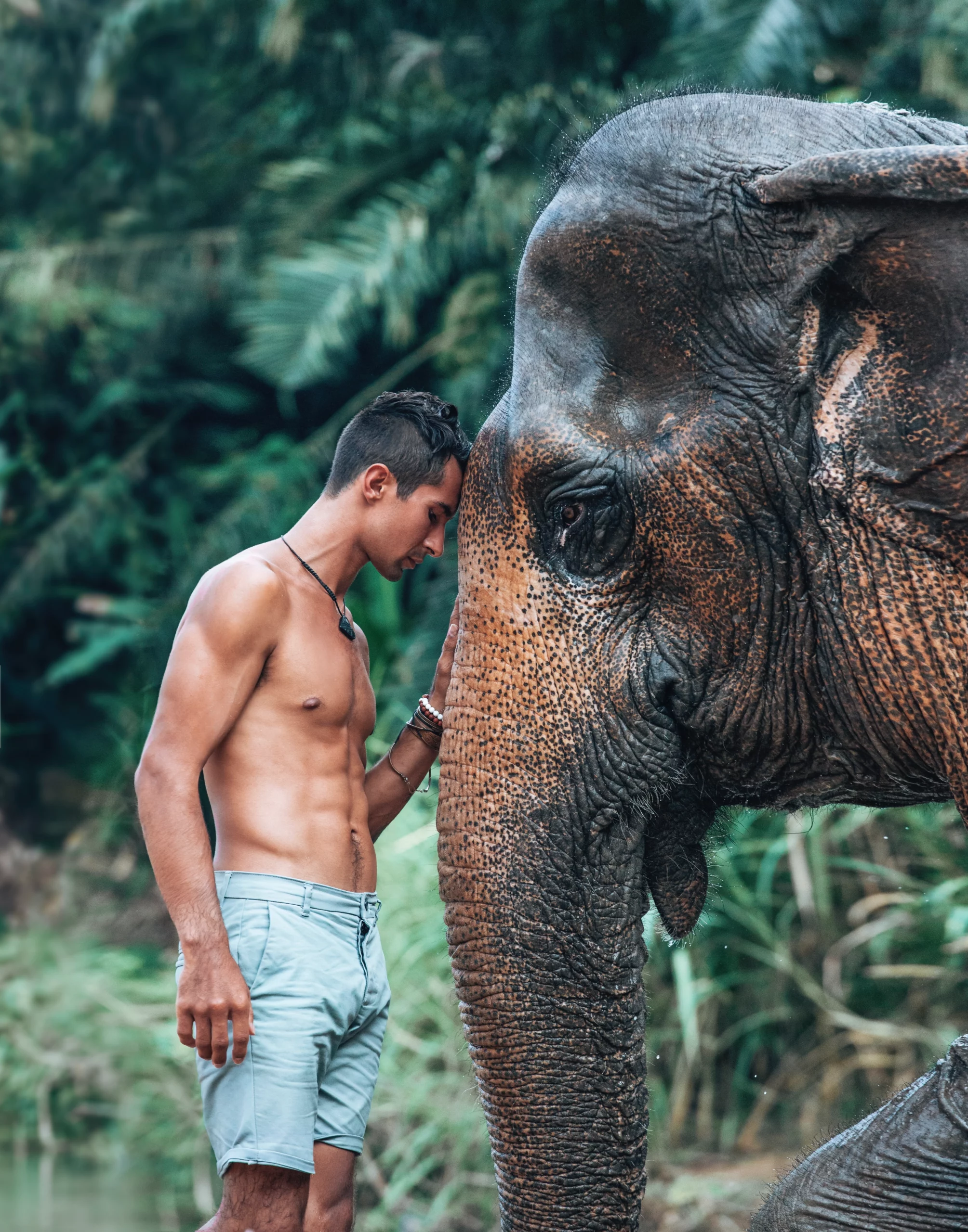 elephant-lovin-2024-09-18-01-28-10-utc