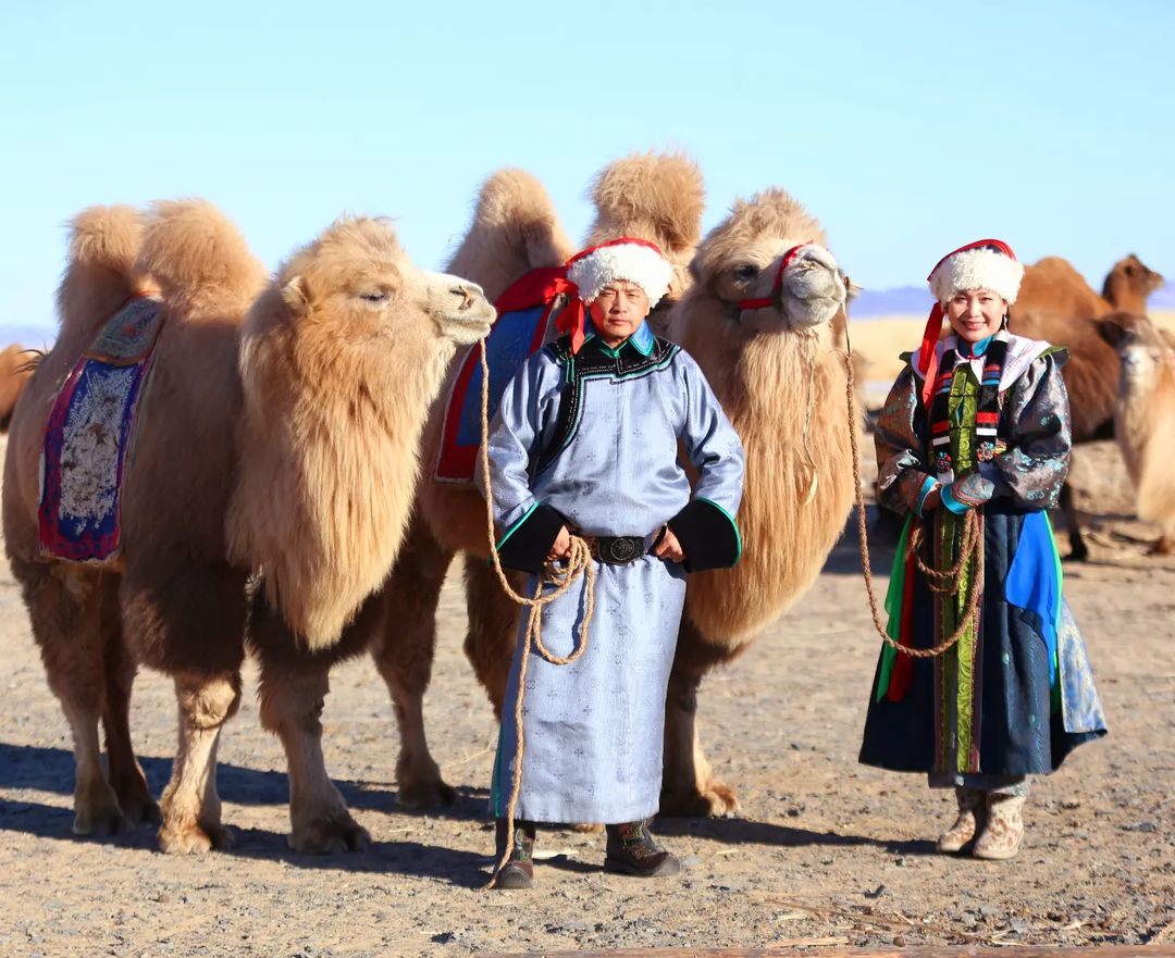 Snapinsta.app_326306064_1802938750078573_2718023191070067687_n_1080